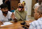 A man in a dog suit, a peculiar protest in Madhya Pradesh Collectorate office