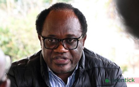 Access to Zambian courts prevented as election petition deadline looms