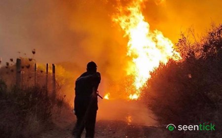 Algeria president seeks death penalty for arsonists after deadly forest fires