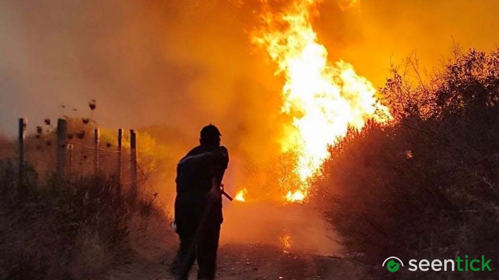 Algeria president seeks death penalty for arsonists after deadly forest fires