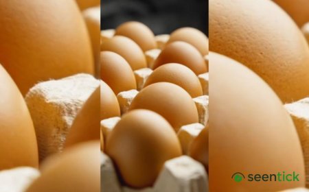 Are eggs safe to eat? Your salmonella questions answered