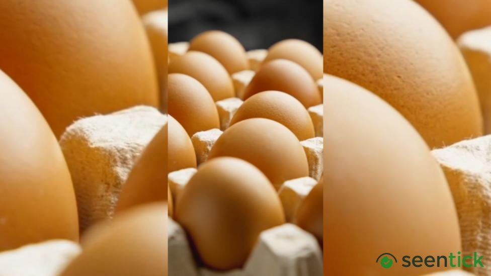 Are eggs safe to eat? Your salmonella questions answered