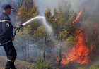 At least 12 dead as wildfires sweep through northern Algeria