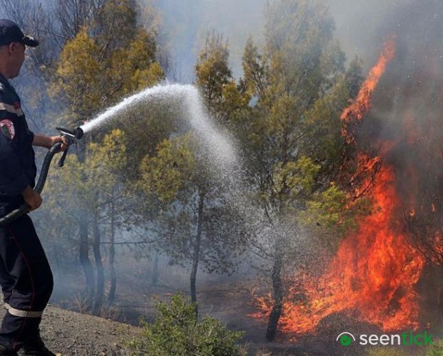 At least 12 dead as wildfires sweep through northern Algeria