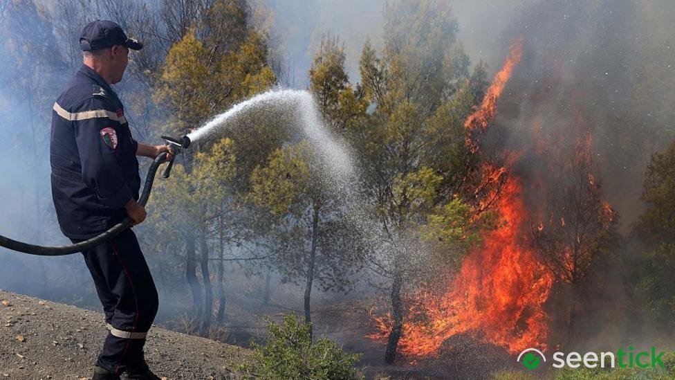 At least 12 dead as wildfires sweep through northern Algeria