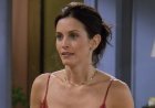 Before Friends, Courteney Cox Starred In A Very Different Type Of Sitcom With Bronson Pinchot
