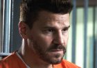Bones' Seeley Booth Is Related To One Of The Most Famous Assassins In American History
