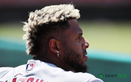 Cardinals’ Slugger Castoff Cuts Ties With New Team After Just 3 Games