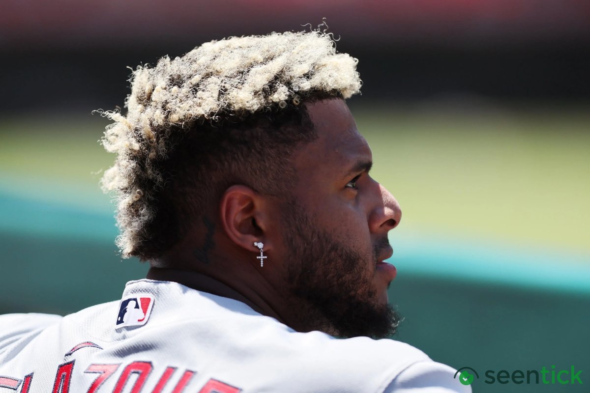 Cardinals’ Slugger Castoff Cuts Ties With New Team After Just 3 Games
