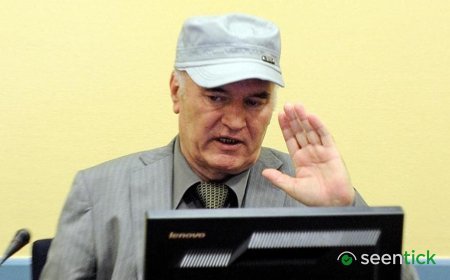 Convicted Bosnian Serb war criminal Mladić dies aged 84