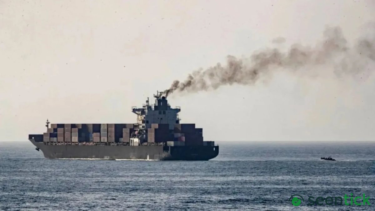 Day after ship sank off Odisha coast, search intensifies for missing 22 crew members