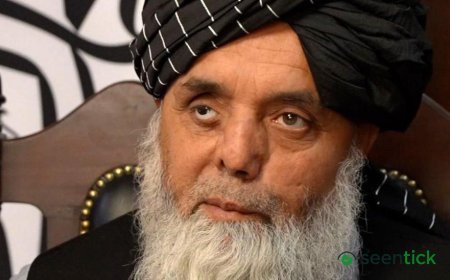 Divorce, smartphones and control - BBC sees how Taliban run Afghanistan