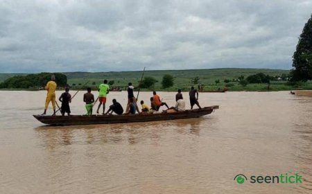 Dozens dead after boat capsizes in north-western Nigeria