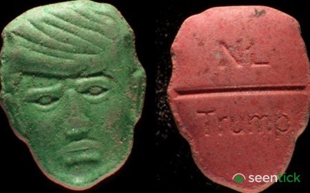 Dutch institute issues 'red alert' over Trump-shaped ecstasy pills
