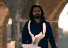 Emraan Hashmis Awarapan 2 Surpasses ₹50 Crore in Just Two Days.