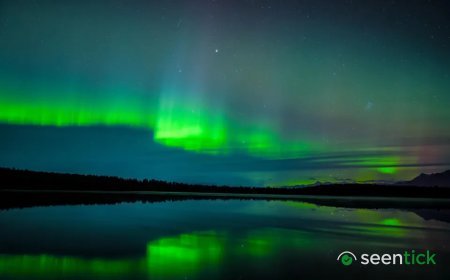 Friday Northern Lights Forecast: 10 States May See The Aurora Borealis Tonight
