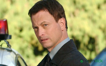 Gary Sinise Guest Starred On This Groundbreaking '80s Crime Drama Show