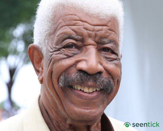 Hal Williams Starred In The '80s Sitcom Remake Of A Classic Goldie Hawn Movie