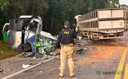 Head-on collision between bus and lorry in Brazil kills more than 20