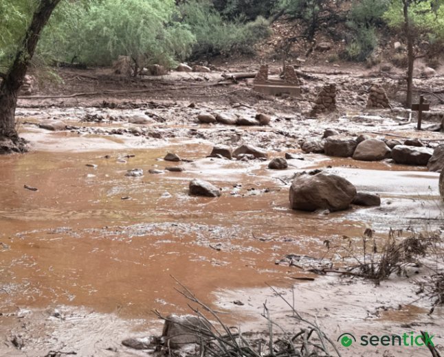 Hikers feared missing after 'terrifying' flash flooding hits Grand Canyon