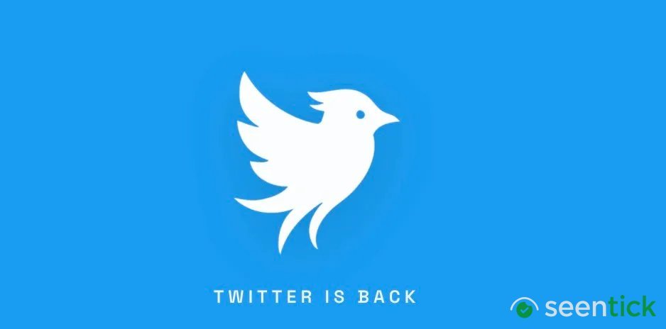 Hold up, there’s a new Twitter in town