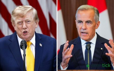 How Canada could hit back to hurt the US economy - and Trump