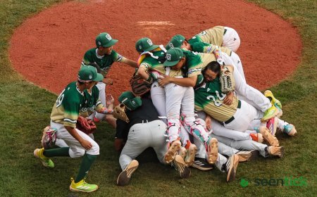 How to Watch 2026 Little League World Series Live Online