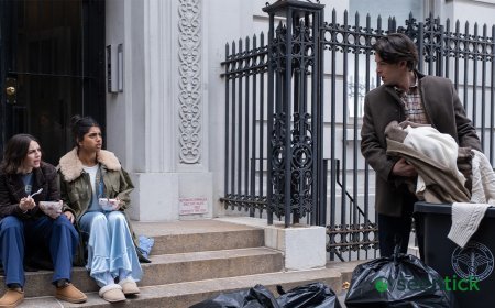 Hulu Cancels ‘Not Suitable for Work’ After One Season
