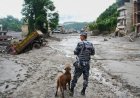 Hydel plant in Nepal feeding power to India among several units hit by flash floods