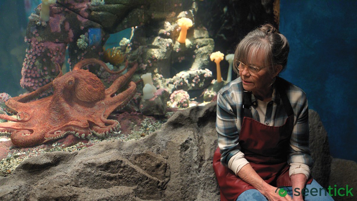 Sally Field Earns 10th Emmy Nomination for Netflix Adaptation