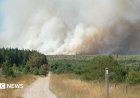 Wildfire engulfs Belgiums High Fens nature reserve, prompting widespread evacuation orders.