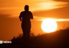 Scientists Uncover Mechanism for Suns Corona Temperature