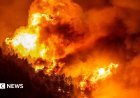 Croatia hit by devastating wildfires that leave dozens injured and thousands evacuated.