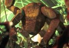 Science Fiction Films Evolve to Reflect Changing Times and Societal Values Worldwide