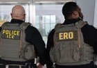 US immigration officers to be equipped with gloves that deliver electric shocks