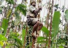 Politicians from areca growing areas oppose ban on sale of gutka, pan masala