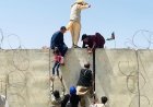 Taliban human rights abuses spark global calls for accountability and justice.