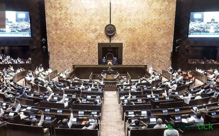 Parliament passes Bill curbing States’ control over minerals