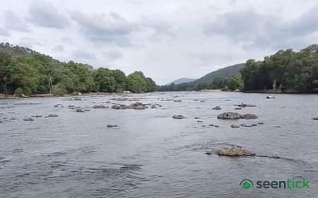 Karnataka credits rain for Cauvery water allotment to Tamil Nadu; TN says it was not voluntary and seeks more water