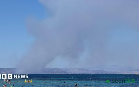 Greek Island Blazes: At Least Two Dead as Wildfires Spread Rapidly