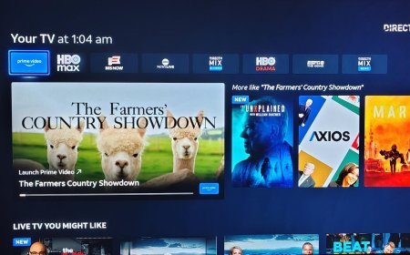 DirecTV’s Gemini Seeks To Answer The Question ‘What Do We Watch Now?’