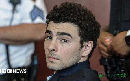 Luigi Mangione to Discuss Plea Deal with Federal Prosecutors Over CEO Murder Charges