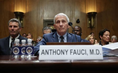Senate Committee Voted To Hold Fauci In Contempt Over Pleading The 5th—What Happens Next?