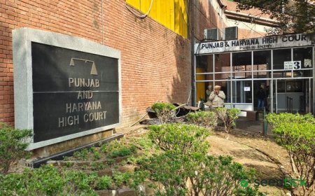 Punjab School Education Secretary Summoned by High Court Over ...