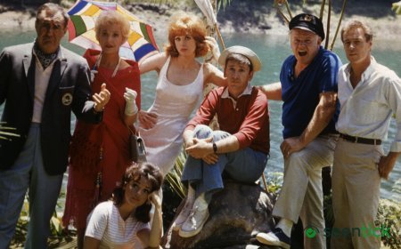 The Complete Gilligans Island Universe: A Look Back at the Sitcoms Most Bizarre Spin-Offs and Reboots