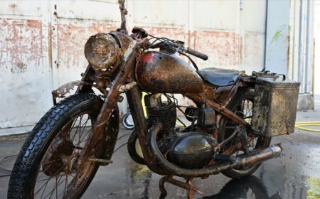 WWII Soldiers Remains Found in Danube River Amid Drought