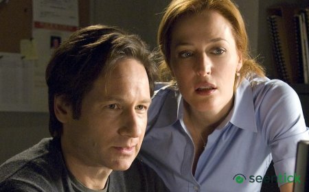 Netflix Originals Lead Fridays TV Lineup with The X-Files: I Want to Believe Premiere