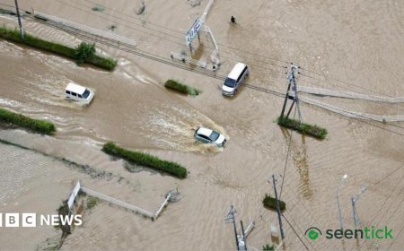 Record rainfall causes devastating flooding in Japans Chiba region.
