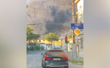 Major Russian grain export terminals hit in Ukraine Black Sea port attack