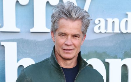 5 Best Timothy Olyphant TV Shows, Ranked
